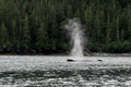 IMG_7602.JPG