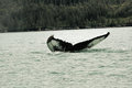 IMG_7674.JPG