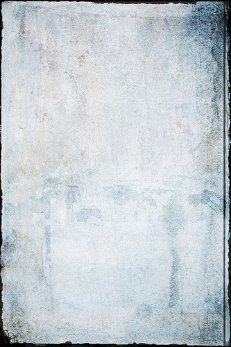 1245963826_d6f51fb6bf.jpg
