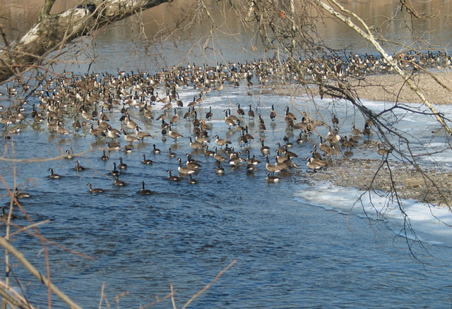 Feb-11-Delaware-River.jpg