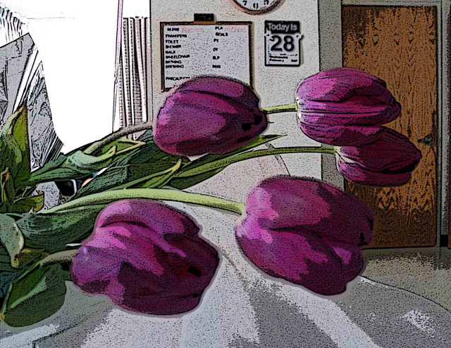 tulips-in-the-hosp-rm-x.jpg