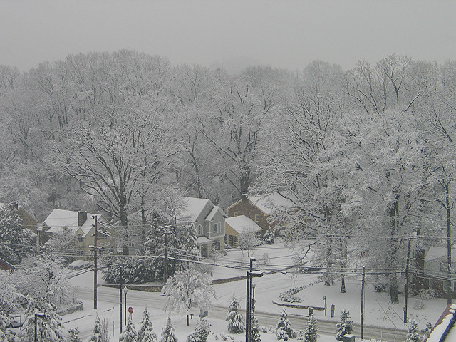 hospital-view.jpg