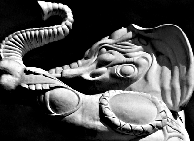 Day 7 BW IMG_0074-elephant.jpg