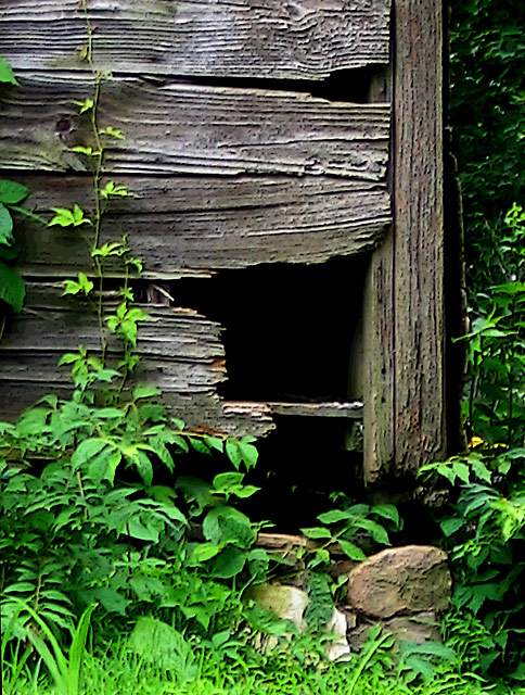 IMG_0041a-fixerupper.jpg