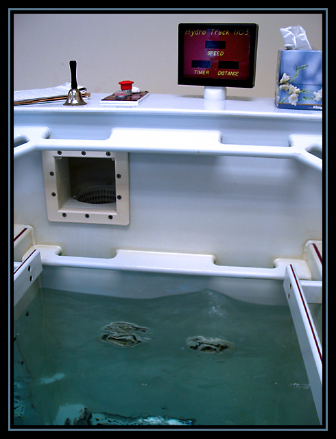 Day-20-Inside-the-Hydro-Tan.jpg