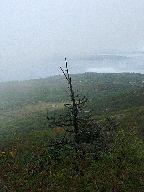 IMG_0016a.jpg