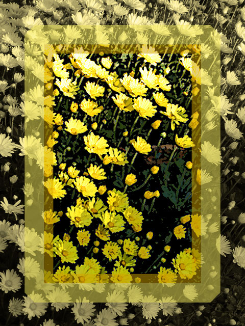 Oct-9-Welcome-Autumn.jpg
