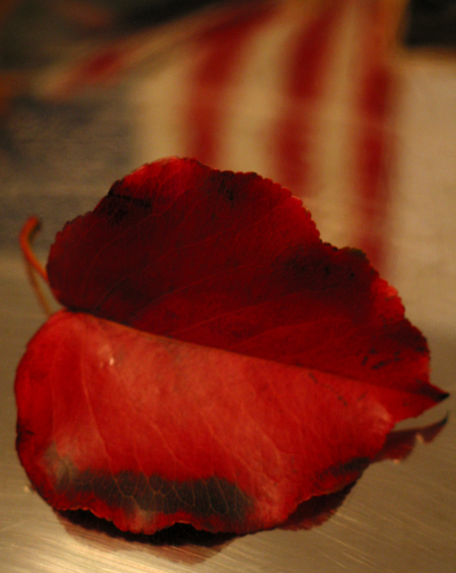 Oct-10-Autumn-USA.jpg