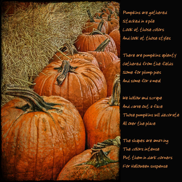 Autumn-Gold.jpg