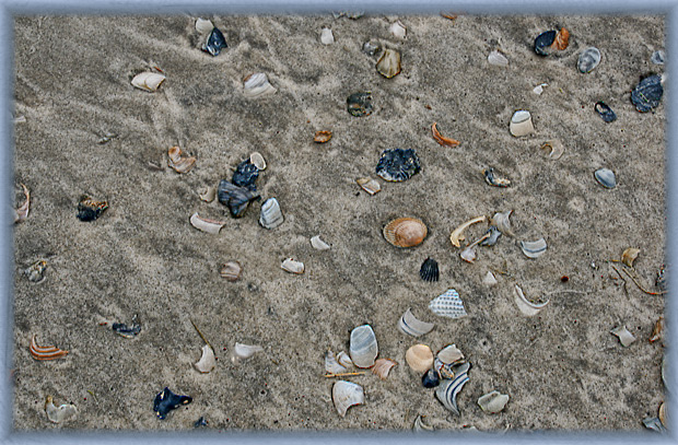 Seashore-Gems.jpg