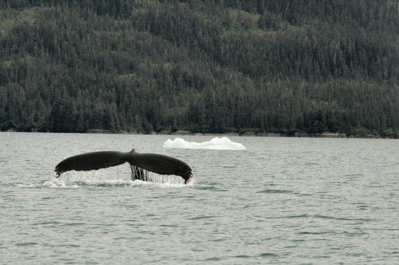 IMG_7678.JPG
