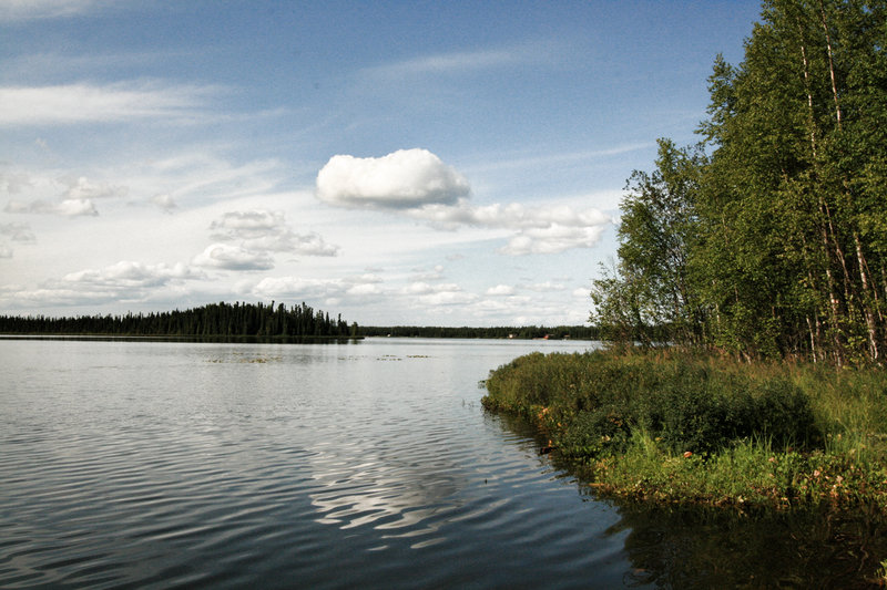 IMG_8205.JPG