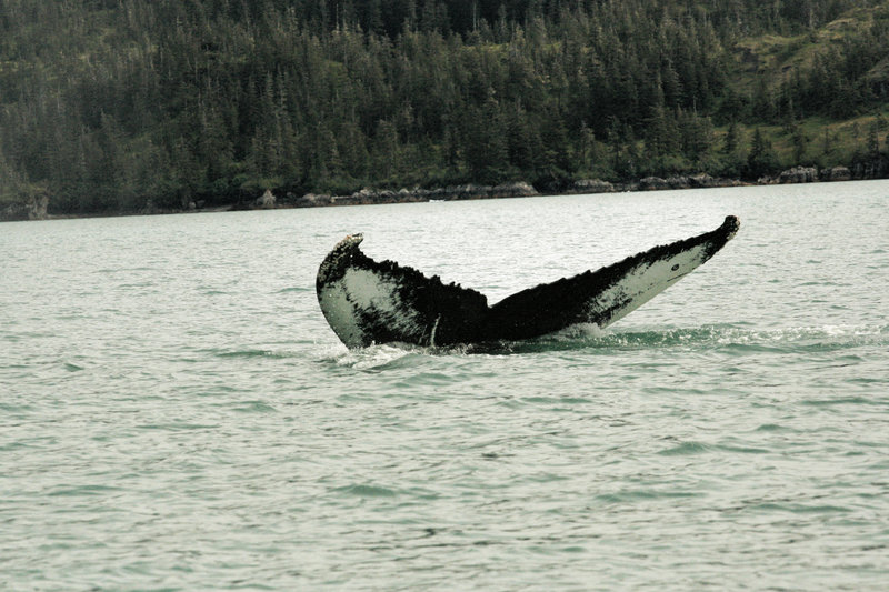 IMG_7674.JPG