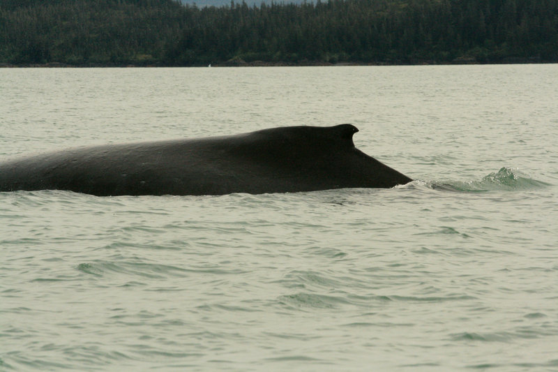 IMG_7667.JPG