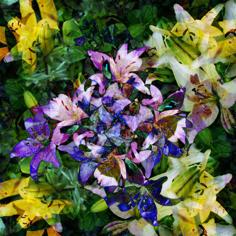 0047Floral.jpg