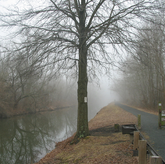 3473.jpg