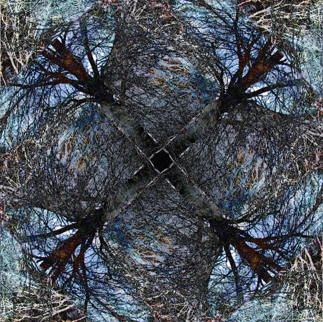 3473-Up-in-a-Tree.jpg