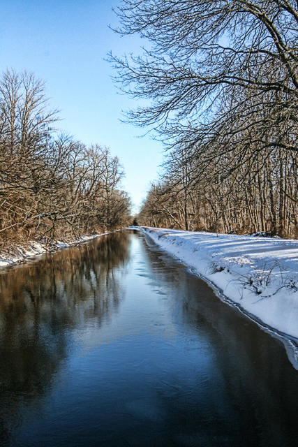 IMG_9082a.jpg
