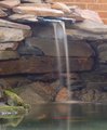 Flow on the Fish