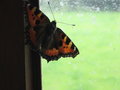res_img_4786.jpg