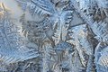 Frost