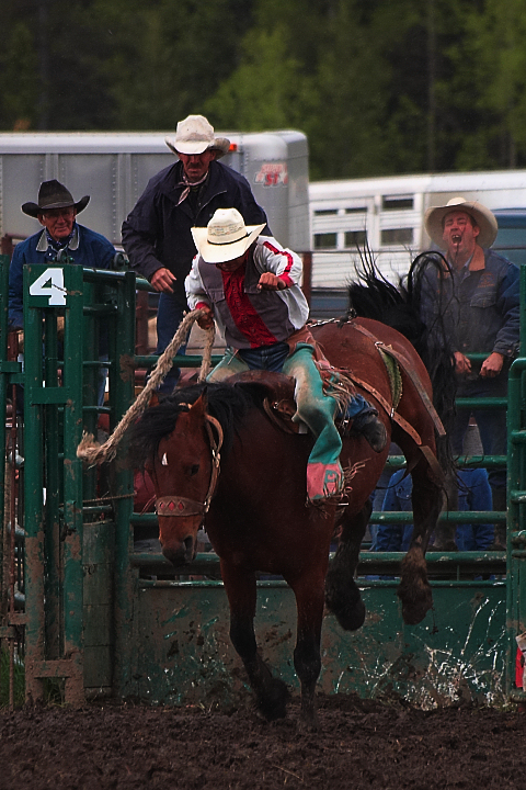 DSC_3416.jpg