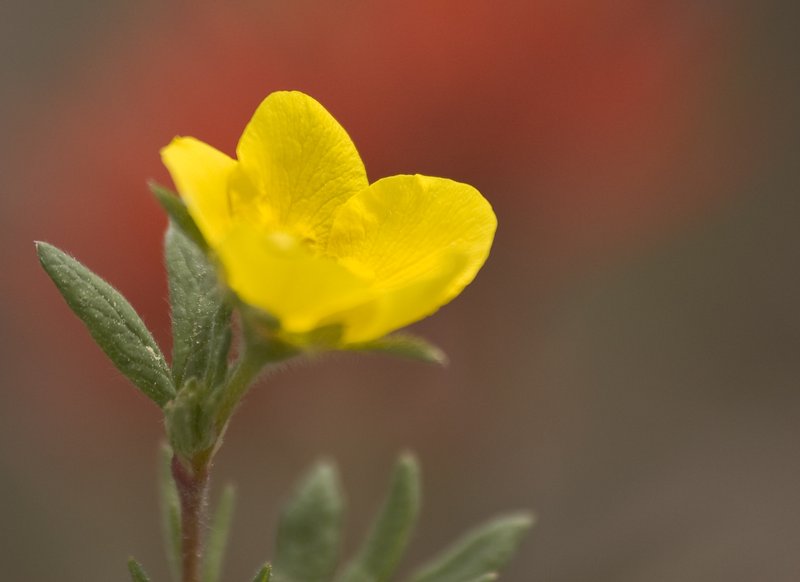 DSC_2981.jpg