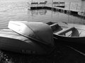 IMG_1242.JPG