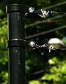F_7820.jpg