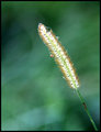 E_9148.jpg