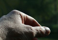 hand_9469.jpg