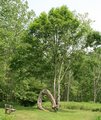 IMG_6805.jpg