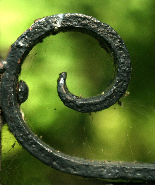 e_7831.jpg