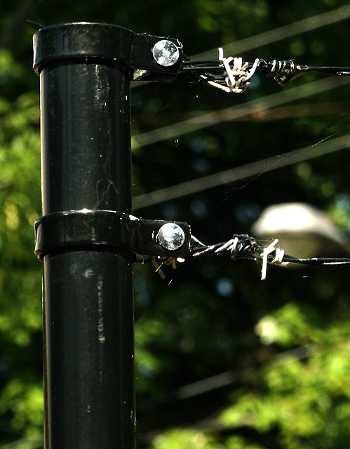F_7820.jpg