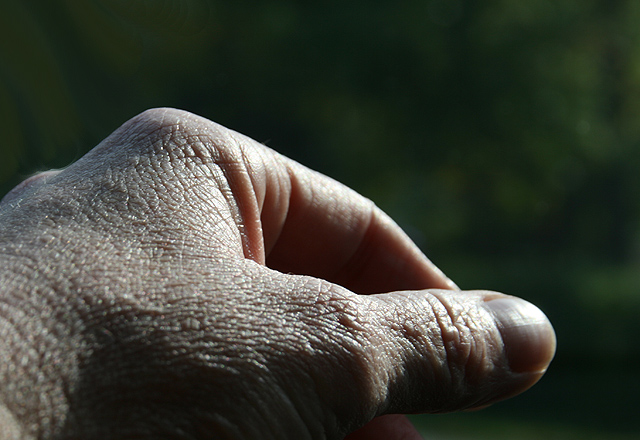 hand_9469.jpg