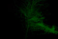 ' . substr('//images.dpchallenge.com/images_portfolio/65000-69999/66543/120/604323.jpg', strrpos('//images.dpchallenge.com/images_portfolio/65000-69999/66543/120/604323.jpg', '/') + 1) . '