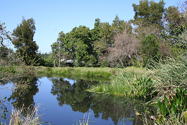 Tranquility-@-Tsala.jpg