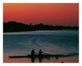 Rowers_at_dusk 4.jpg