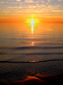 sunlit_wavelet.jpg