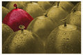Odd one out..jpg