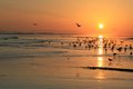 Salalah Sunset 1