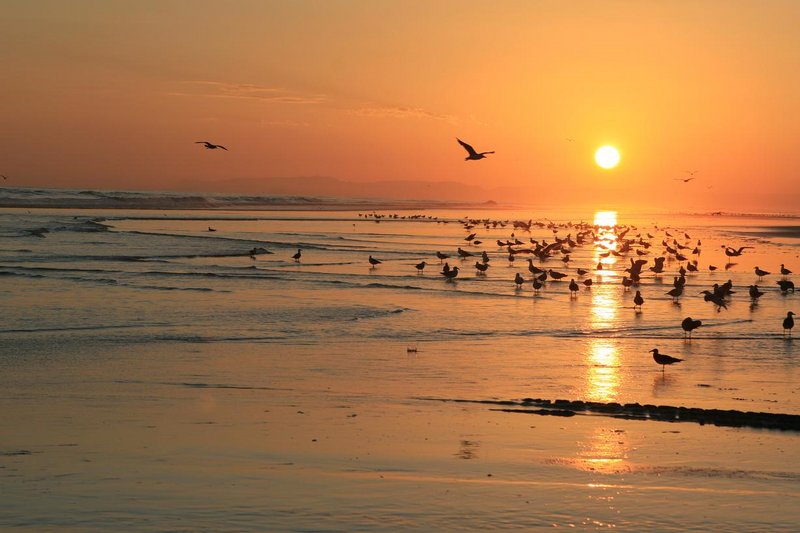 Salalah Sunset 1