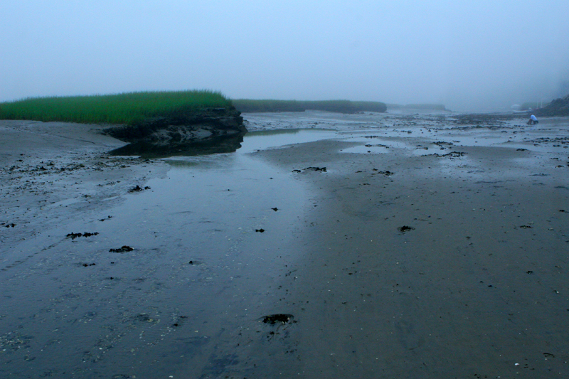 Gloucester Mudflats