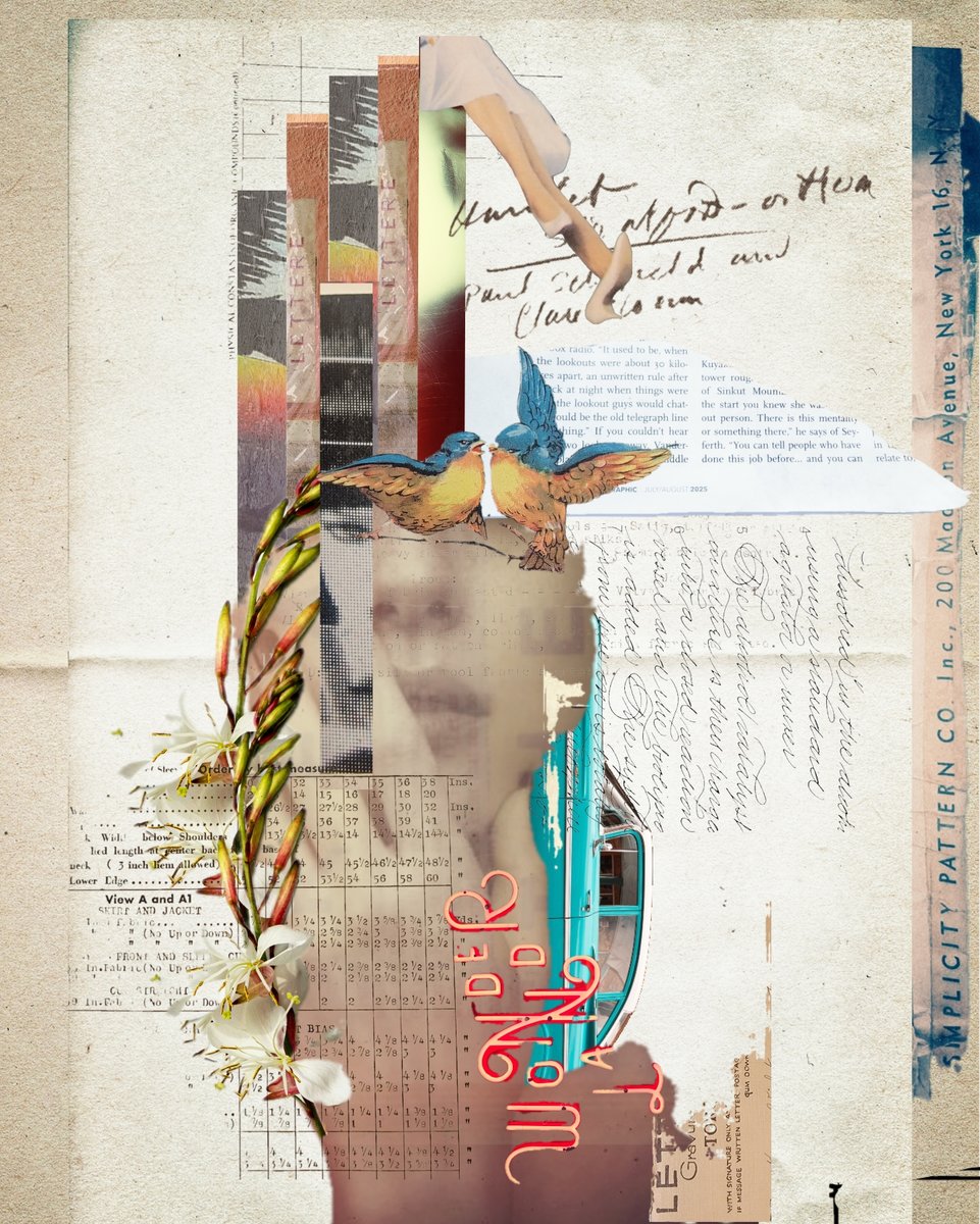 Collage_2025-11-25_07_47_34