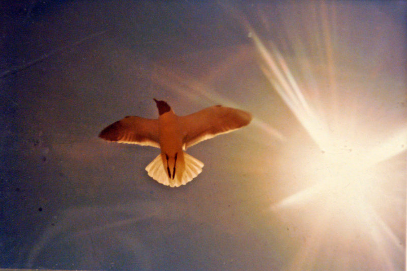 DSC00147_edited-1.jpg