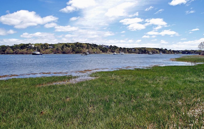 Ryder cove