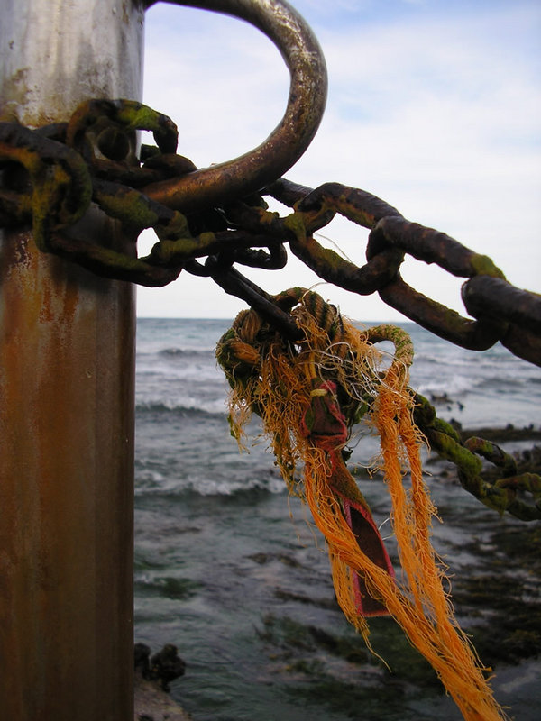 ocean1