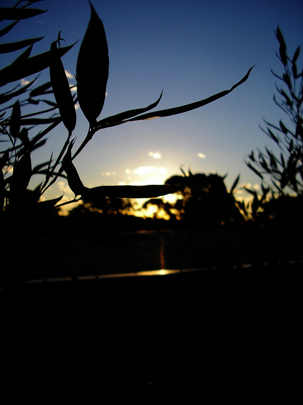 natures sunset