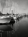 Marina reflections in B&W