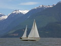 July 7 - Racing Stargazer.jpg